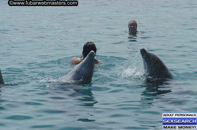 Local Billing Dolphin Encounter and Swim 2005