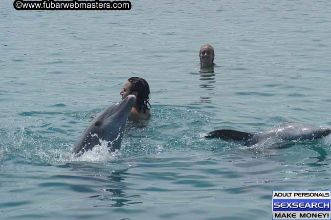 Local Billing Dolphin Encounter and Swim 2005