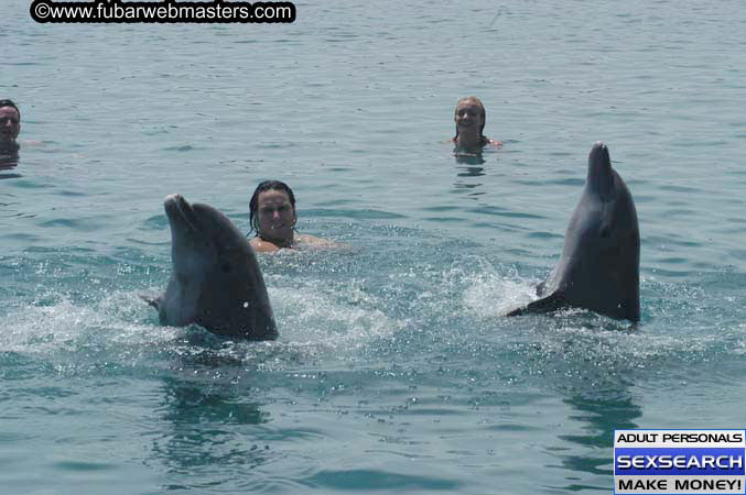 Local Billing Dolphin Encounter and Swim 2005