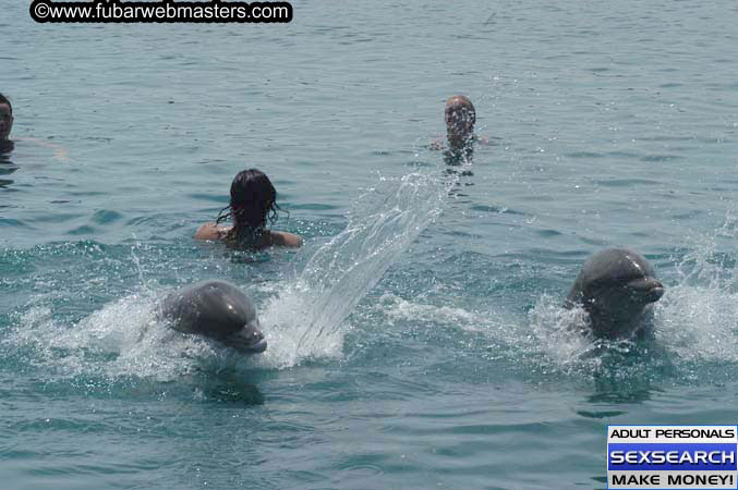 Local Billing Dolphin Encounter and Swim 2005