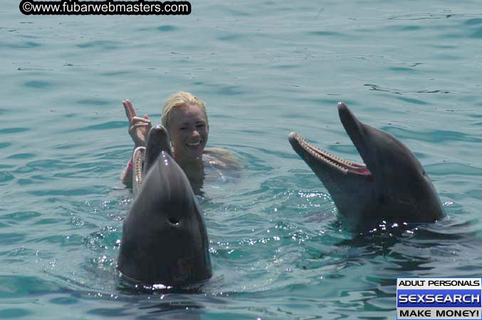 Local Billing Dolphin Encounter and Swim 2005