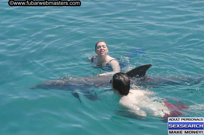 Local Billing Dolphin Encounter and Swim 2005
