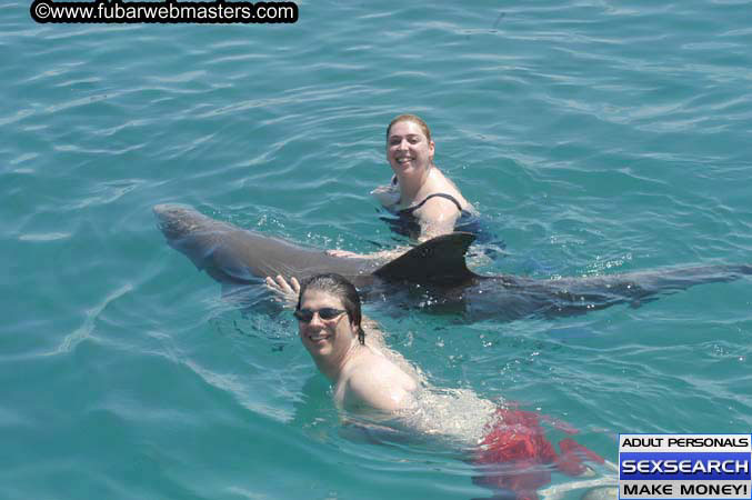 Local Billing Dolphin Encounter and Swim 2005