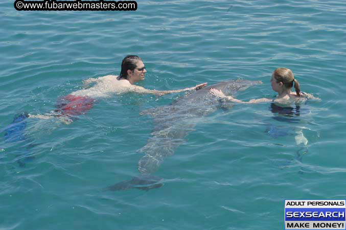 Local Billing Dolphin Encounter and Swim 2005