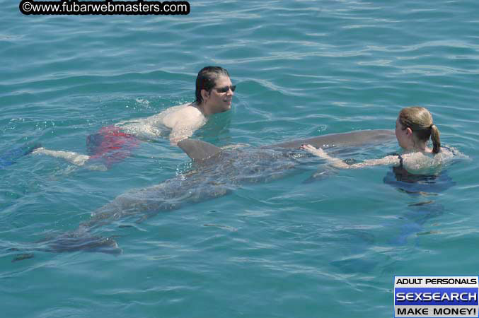 Local Billing Dolphin Encounter and Swim 2005