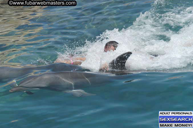 Local Billing Dolphin Encounter and Swim 2005