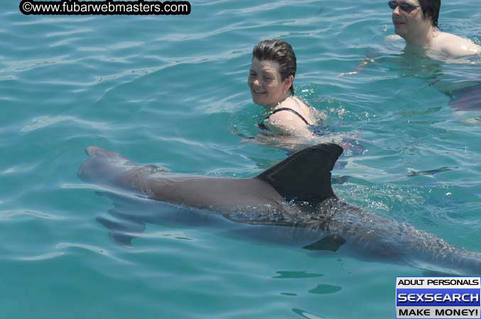 Local Billing Dolphin Encounter and Swim 2005