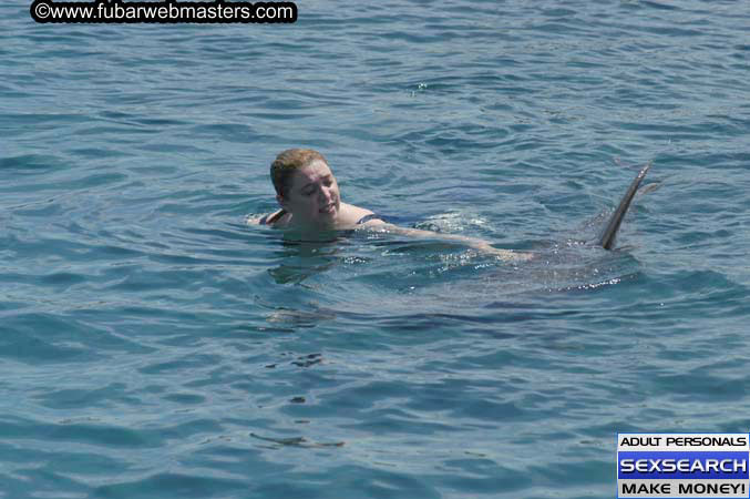 Local Billing Dolphin Encounter and Swim 2005