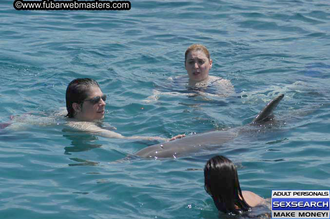 Local Billing Dolphin Encounter and Swim 2005