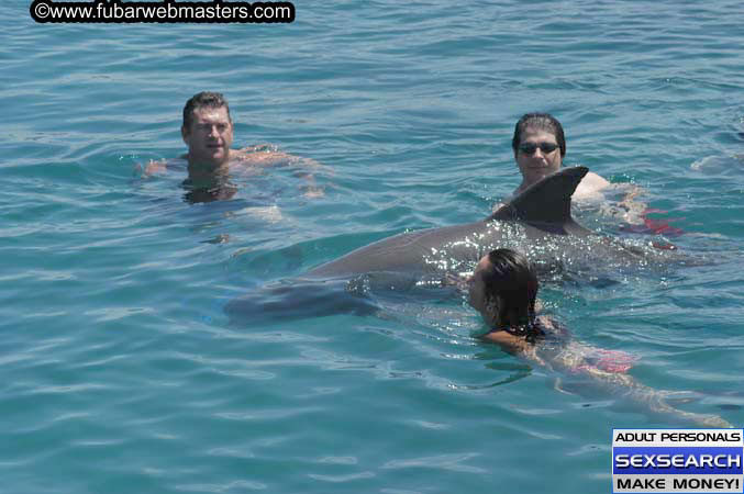 Local Billing Dolphin Encounter and Swim 2005