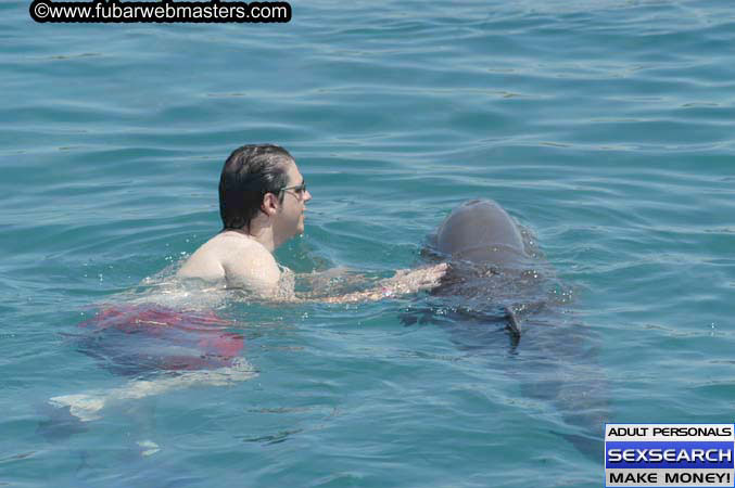 Local Billing Dolphin Encounter and Swim 2005