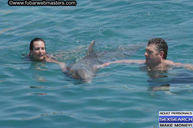 Local Billing Dolphin Encounter and Swim 2005