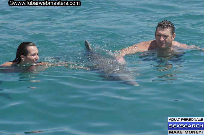 Local Billing Dolphin Encounter and Swim 2005
