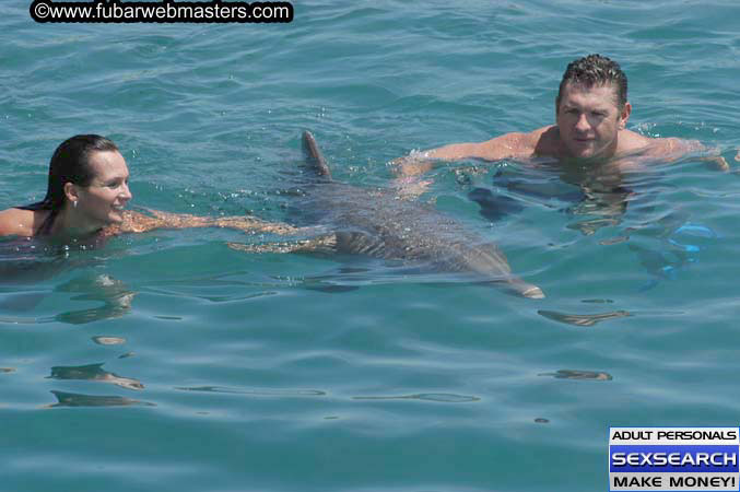 Local Billing Dolphin Encounter and Swim 2005