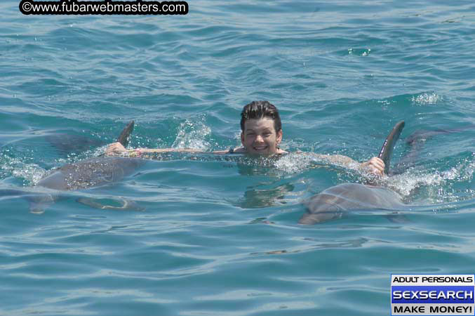 Local Billing Dolphin Encounter and Swim 2005
