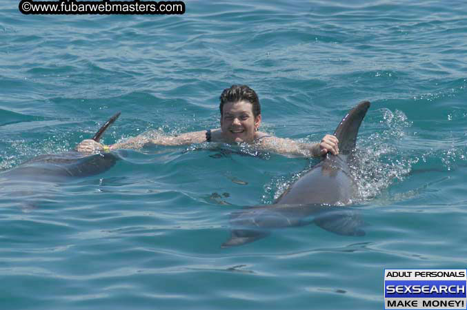 Local Billing Dolphin Encounter and Swim 2005