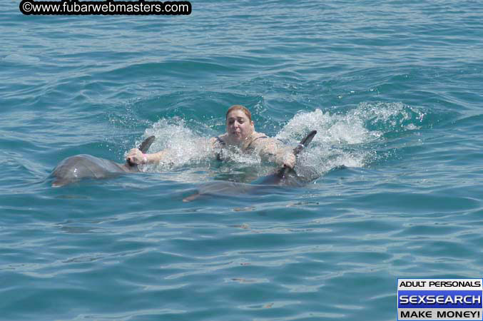 Local Billing Dolphin Encounter and Swim 2005