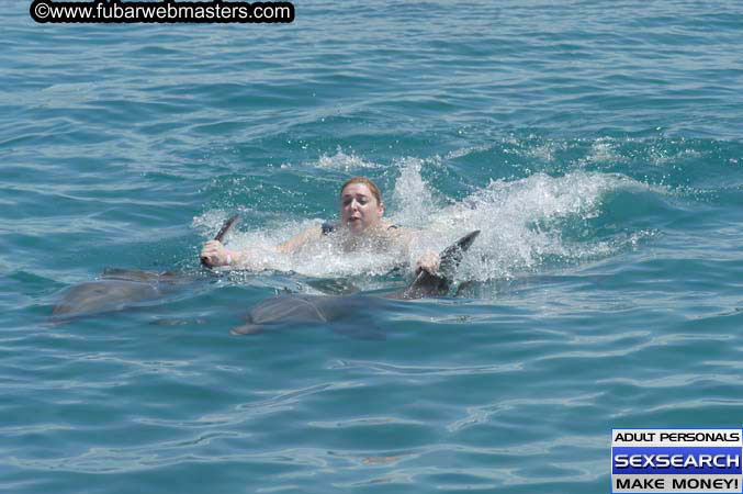 Local Billing Dolphin Encounter and Swim 2005