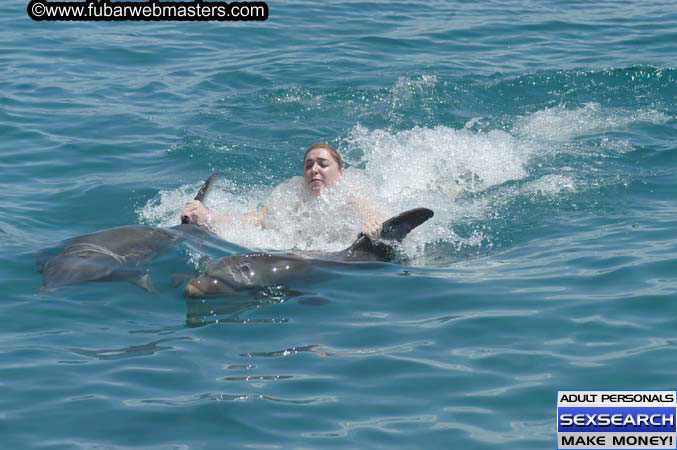 Local Billing Dolphin Encounter and Swim 2005