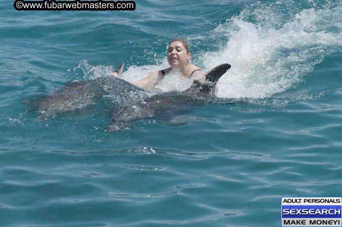 Local Billing Dolphin Encounter and Swim 2005