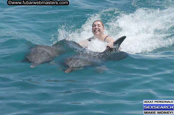 Local Billing Dolphin Encounter and Swim 2005
