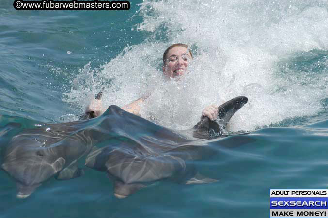 Local Billing Dolphin Encounter and Swim 2005