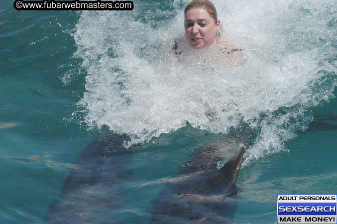 Local Billing Dolphin Encounter and Swim 2005