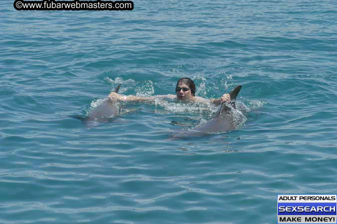 Local Billing Dolphin Encounter and Swim 2005