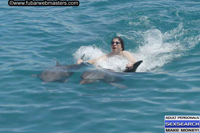 Local Billing Dolphin Encounter and Swim 2005