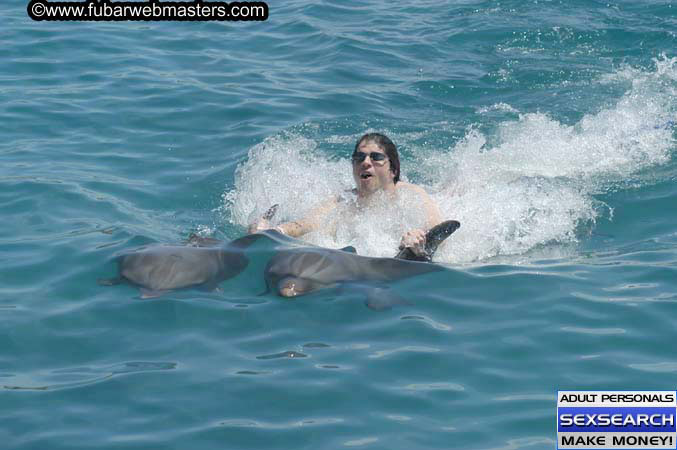 Local Billing Dolphin Encounter and Swim 2005