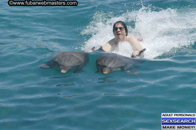 Local Billing Dolphin Encounter and Swim 2005