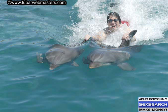 Local Billing Dolphin Encounter and Swim 2005