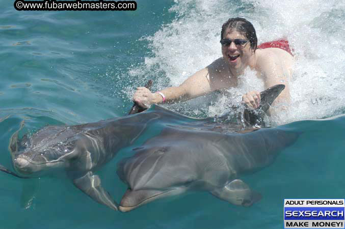 Local Billing Dolphin Encounter and Swim 2005