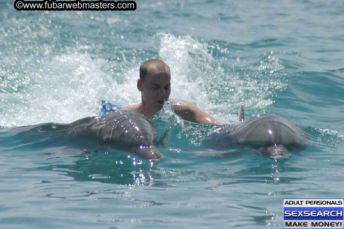 Local Billing Dolphin Encounter and Swim 2005
