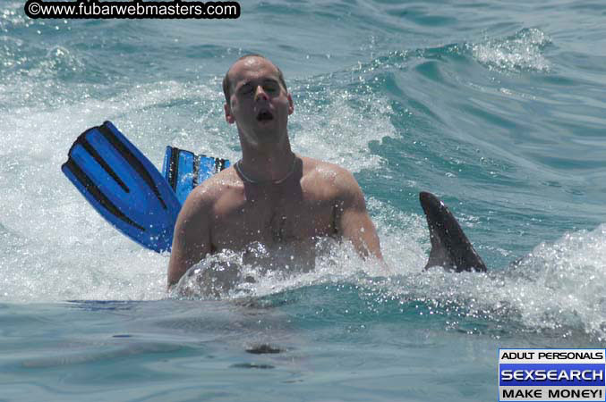 Local Billing Dolphin Encounter and Swim 2005