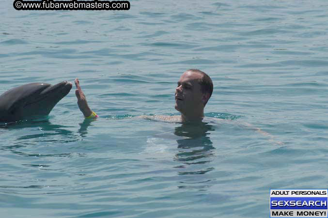 Local Billing Dolphin Encounter and Swim 2005