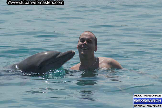Local Billing Dolphin Encounter and Swim 2005