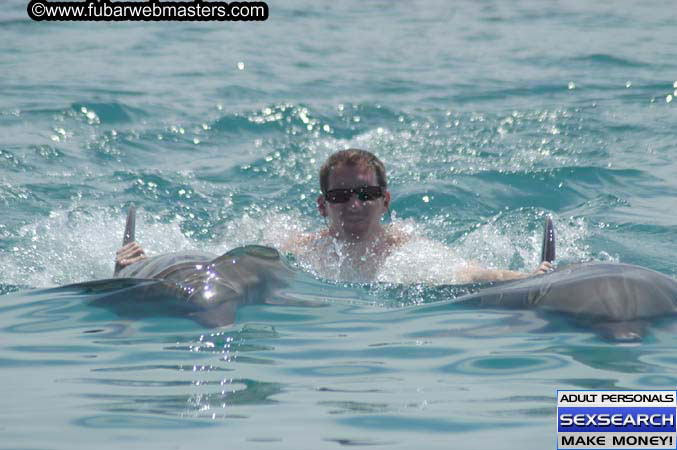 Local Billing Dolphin Encounter and Swim 2005