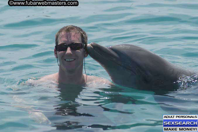 Local Billing Dolphin Encounter and Swim 2005