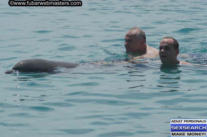 Local Billing Dolphin Encounter and Swim 2005