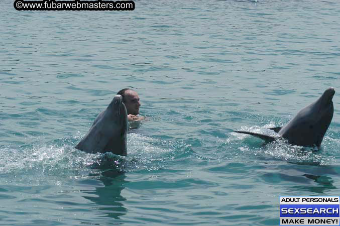 Local Billing Dolphin Encounter and Swim 2005