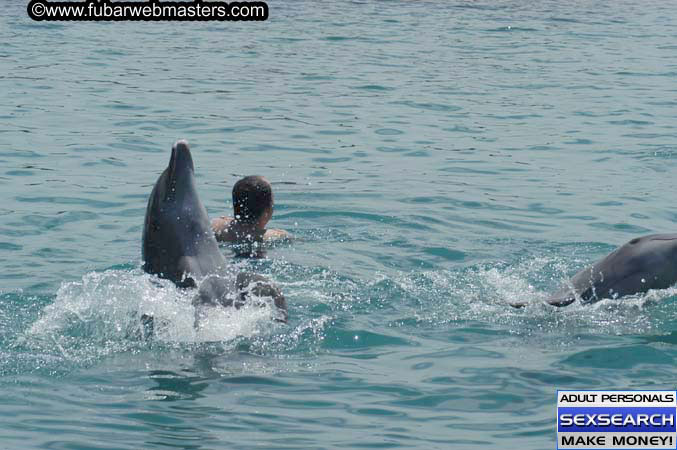 Local Billing Dolphin Encounter and Swim 2005