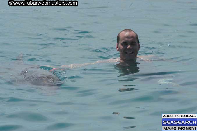 Local Billing Dolphin Encounter and Swim 2005