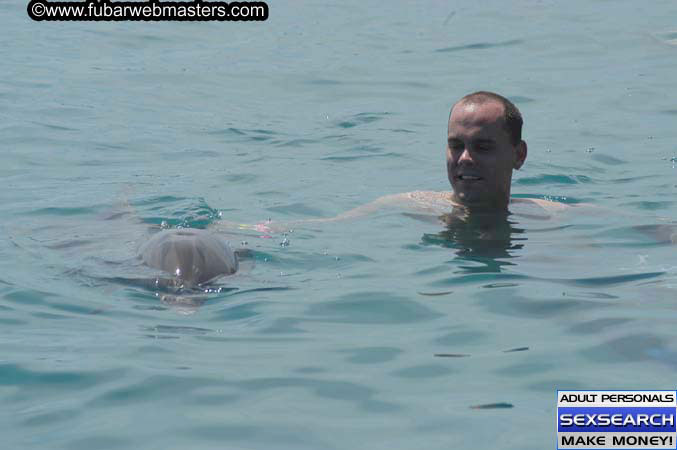 Local Billing Dolphin Encounter and Swim 2005