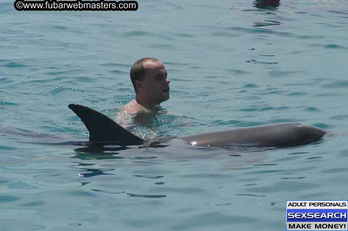 Local Billing Dolphin Encounter and Swim 2005