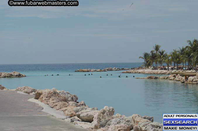 Local Billing Dolphin Encounter and Swim 2005