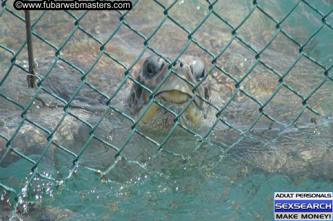  Animal Encounter and Shark Feeding Dive 2005