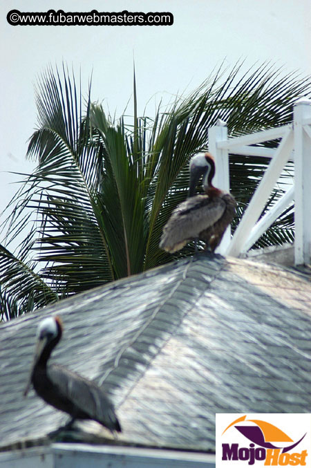 Intercoastal Cruise 2005