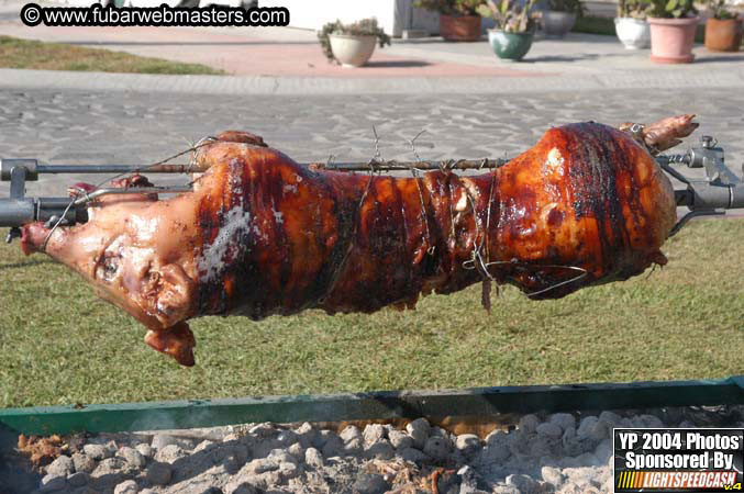 Saturday Afternoon with Rockfish 2004