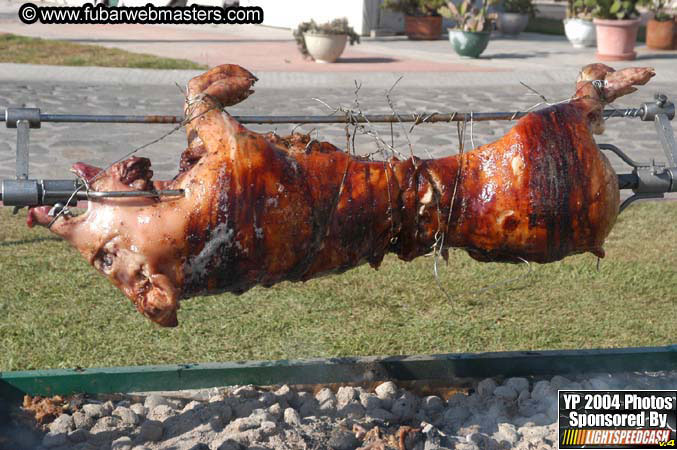 Saturday Afternoon with Rockfish 2004